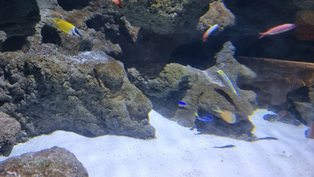 ../images/fotoalbum/lanzarote23/2023-09-18 10.46.19